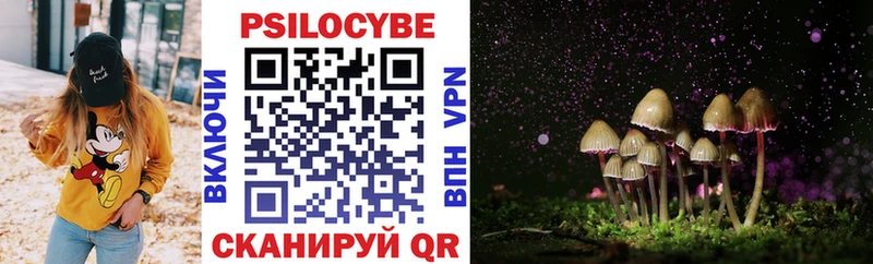 Псилоцибиновые грибы Magic Shrooms  дарнет шоп  площадка состав  Амурск 